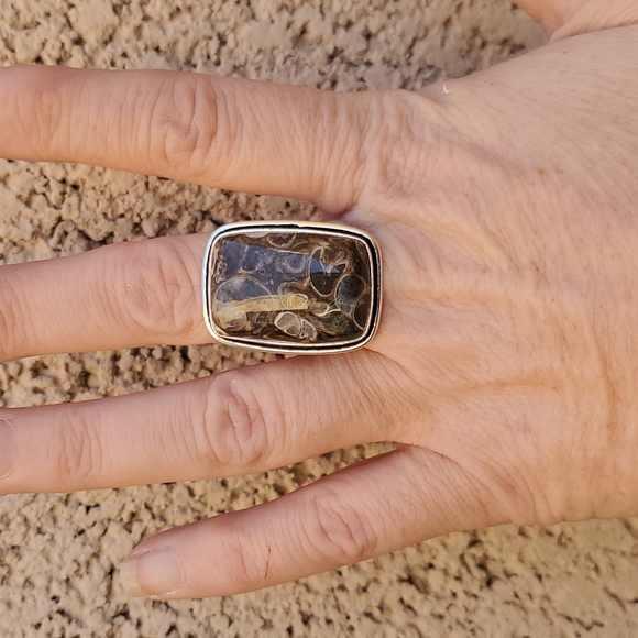 New Turritella Agate Fossil 925 Silver Ring. - Picture 10 of 15